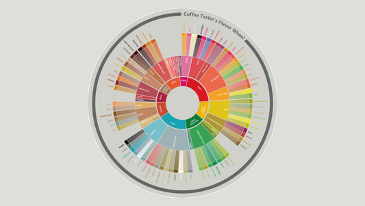 Was ist eigentlich „Specialty Coffee“?